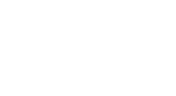 VOSS logo3